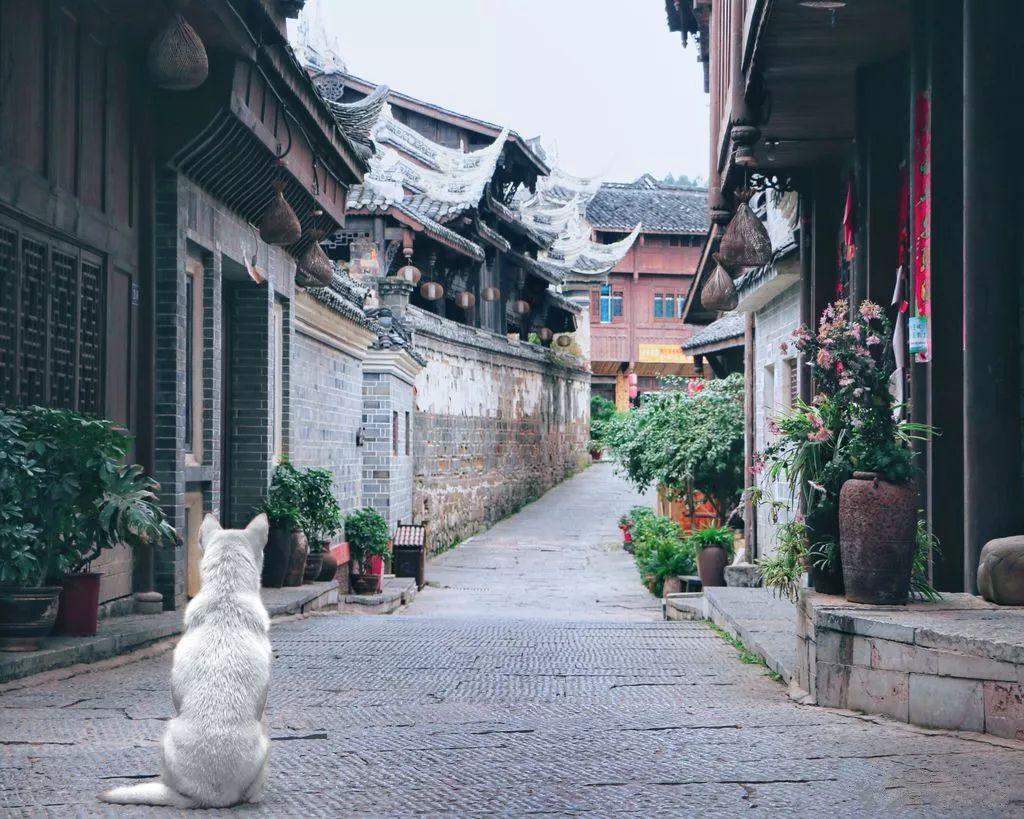 一个优秀员工即将跳槽的征兆有哪些？游戏画面